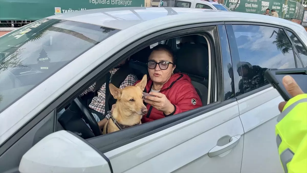 Tarsus\'ta Kucağında Köpekle Araç Kullanan Sürücü Uyarıldı
