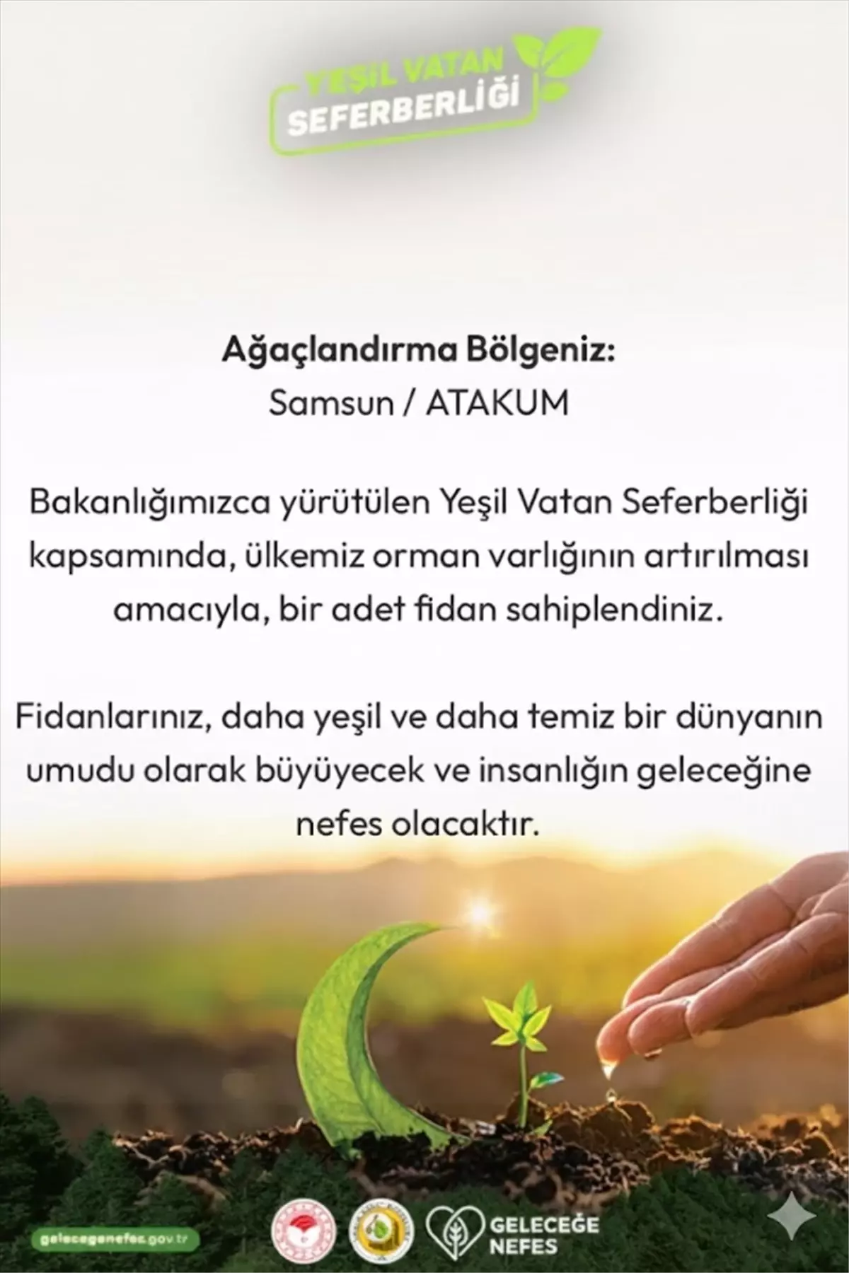 Gazetecilere Fidan Bağışı