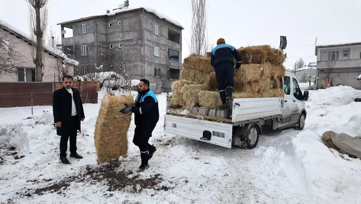 Muş\'ta Terk Edilen Hayvanlara Destek!