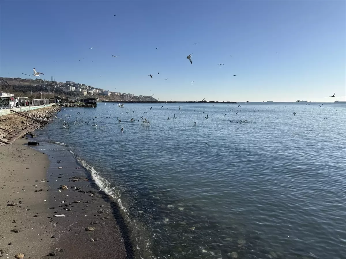 Tekirdağ\'da Deniz Ulaşımı Normale Döndü