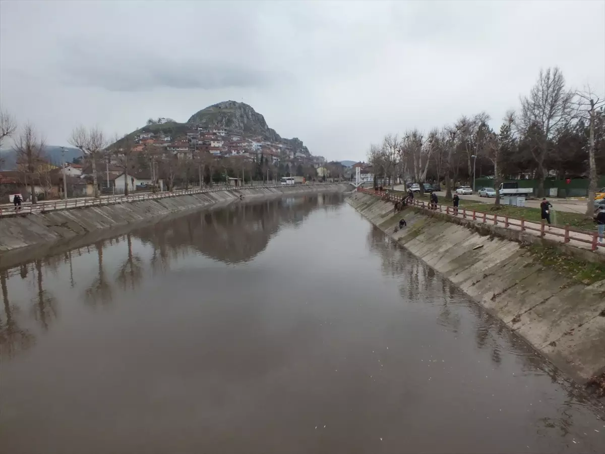 Yeşilırmak Nehrinde Balık Ölümleri