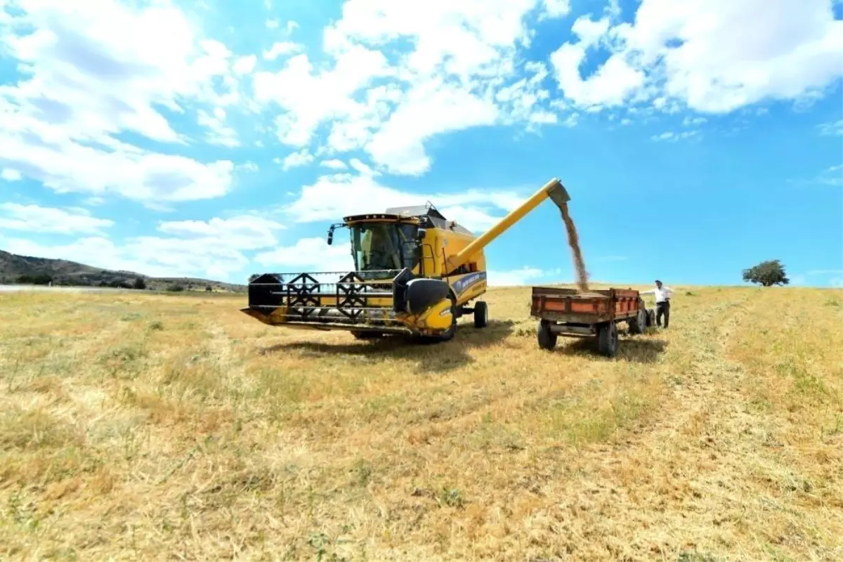 Hayvancılığa Destek Projesi Bayburt\'ta Başladı