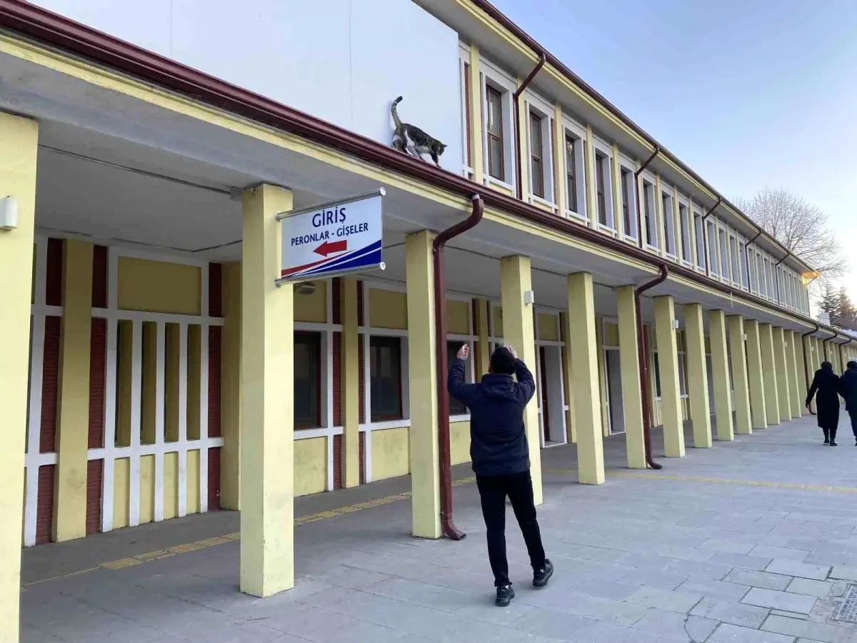 Yaramaz Kedi Eskişehir\'de Oyun Oynadı