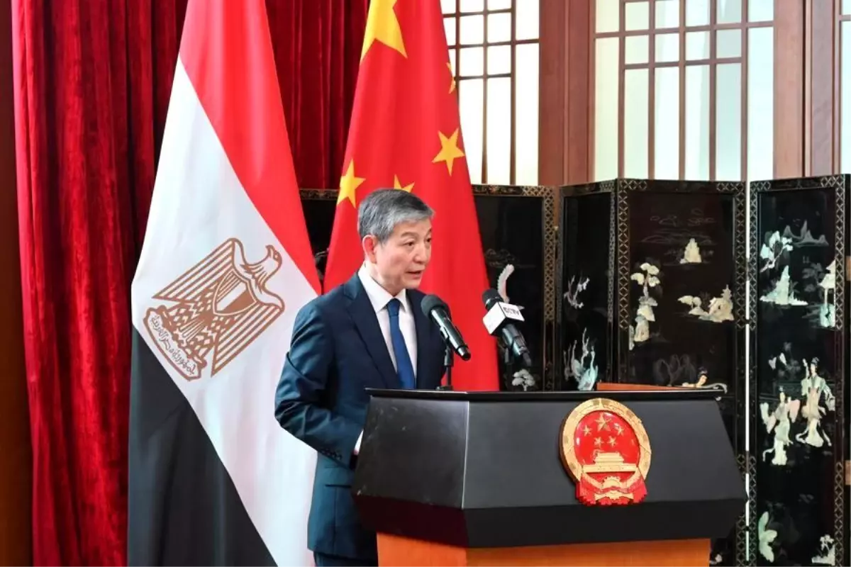 Çin-Afrika Gençlik Etkileşim Oturumu