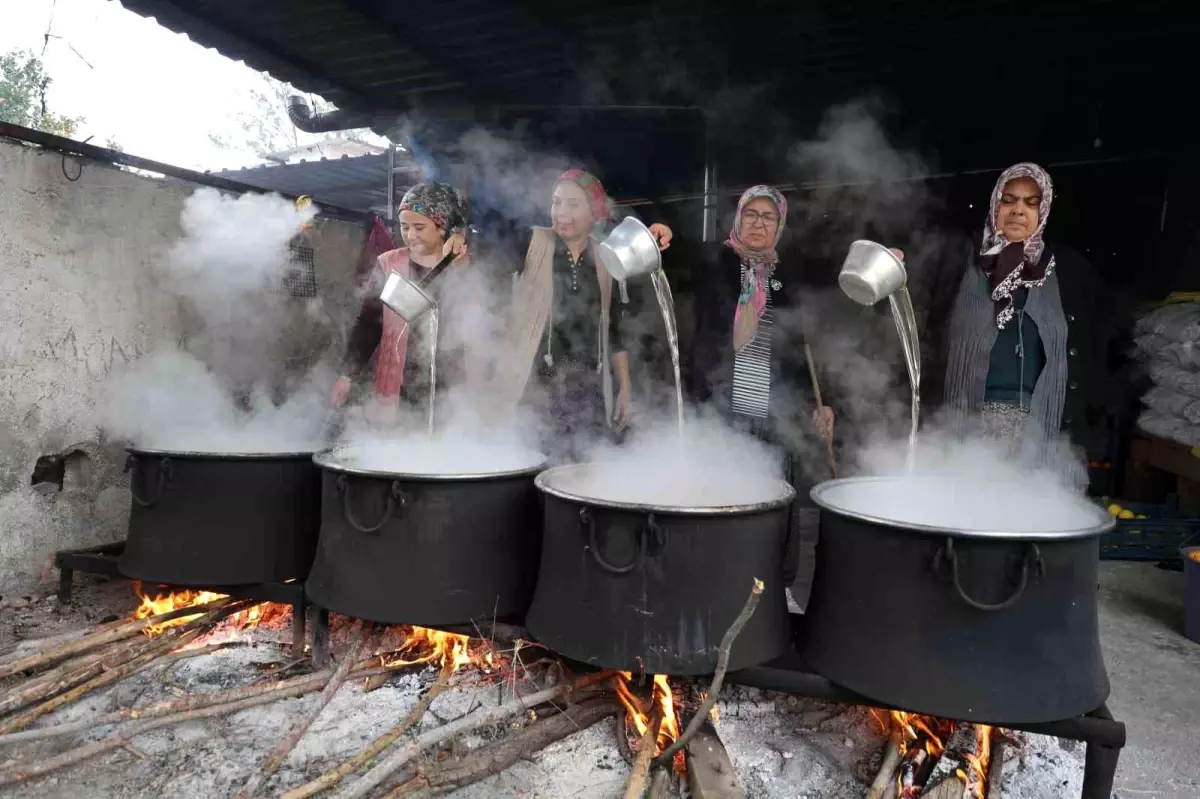Para etmeyen ürünü 5 günlük emek harcayarak kilosunu 300 TL\'den satıyorlar