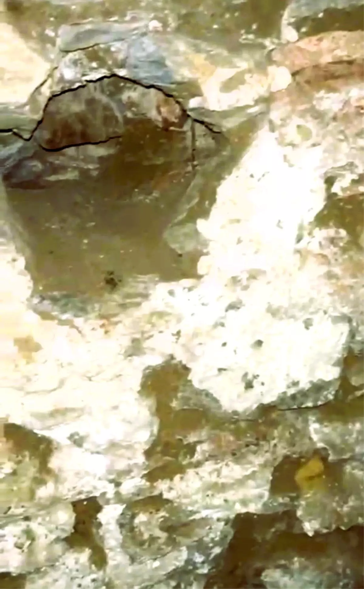 Tarihi Hamamda Kaçak Kazı Alarmı