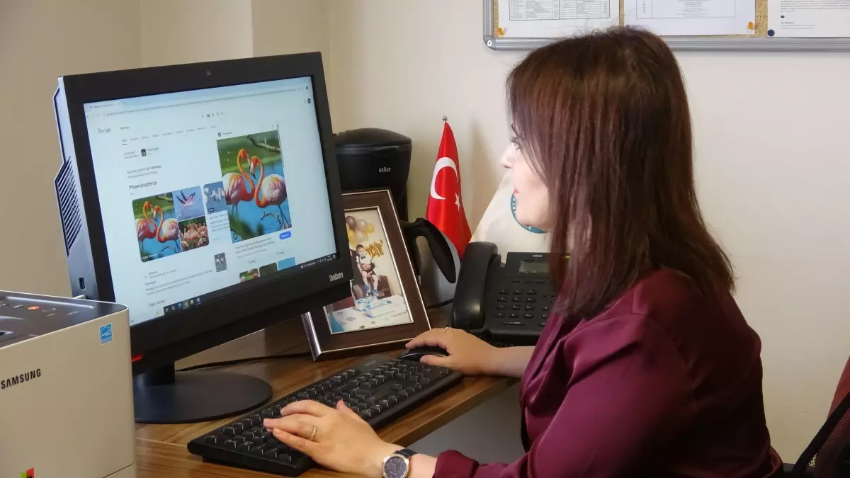 Van Gölü\'nde Kış Flamingoları