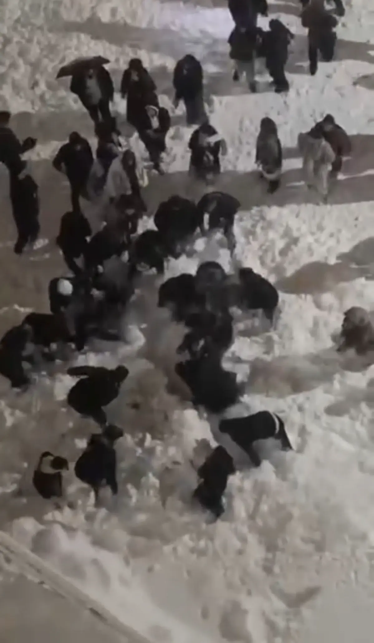 Hakkari\'de Kar Kütlesi 2 Öğrenciyi Yaraladı