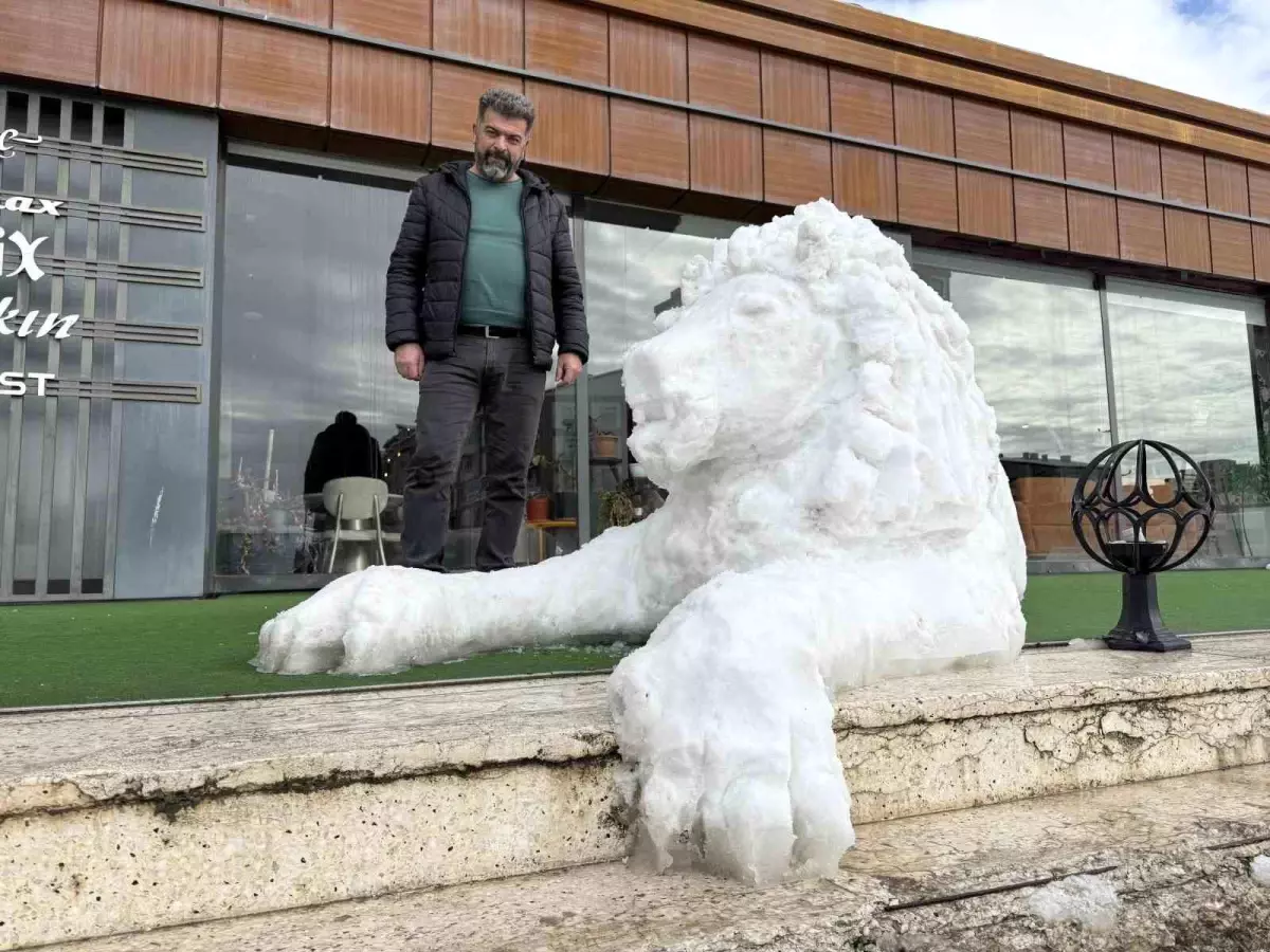 Sivas\'ta Kardan Aslan Yapıldı