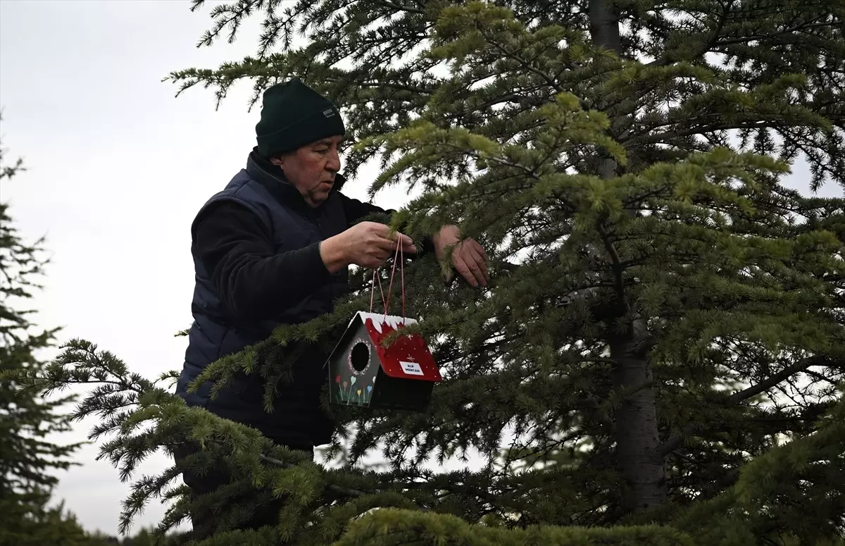 Yangında Kaybedilenler İçin Kuş Evi