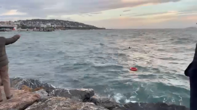 Maltepe sahilinde denize giren şahıs boğuldu Maltepe sahilinde denize giren şahıs boğuldu