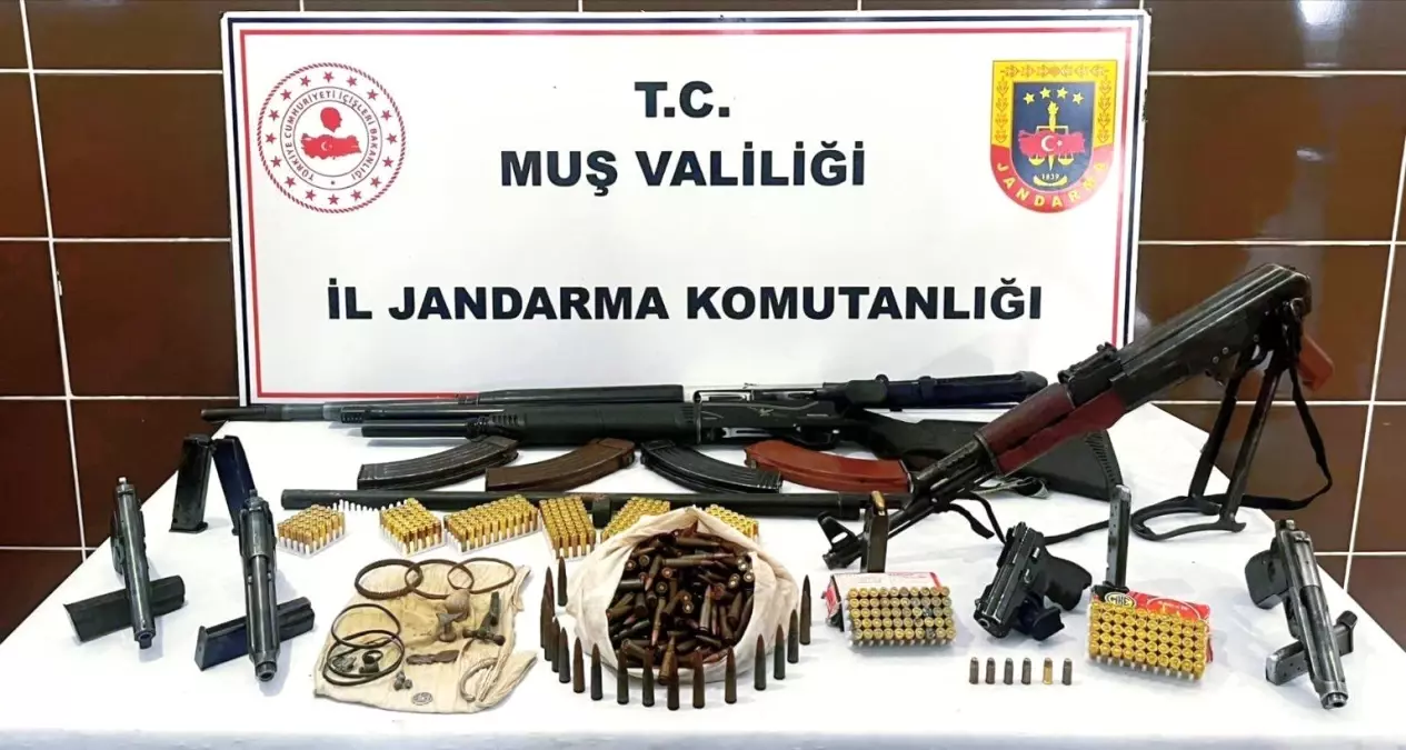 Muş\'ta Jandarmadan Silah ve Tarihi Eşya Operasyonu