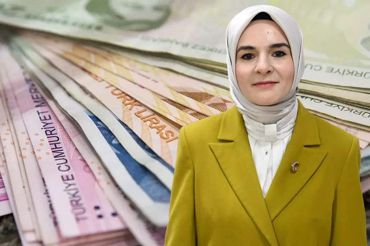 Üç kesime dağıtılacak! Bakanlık, 132 bin kişi için 5,1 milyarlık kaynak ayırdı