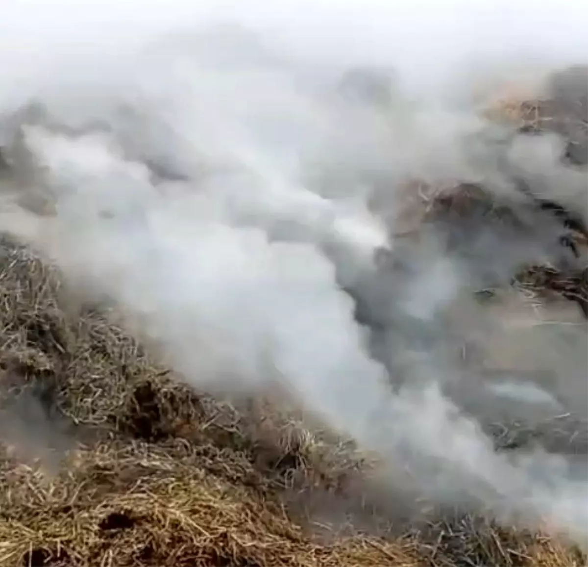 Adana\'da Samanlık Yangını Kontrol Altına Alındı