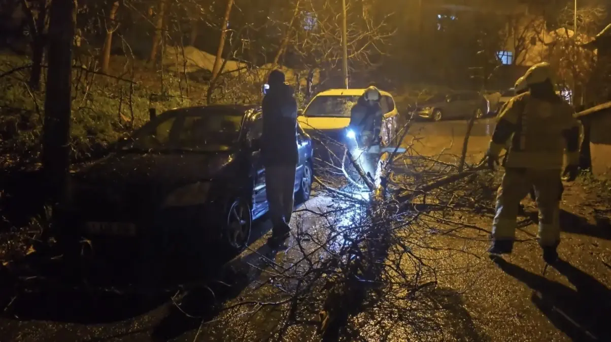 Beykoz\'da Fırtına Ağaç Devrildi