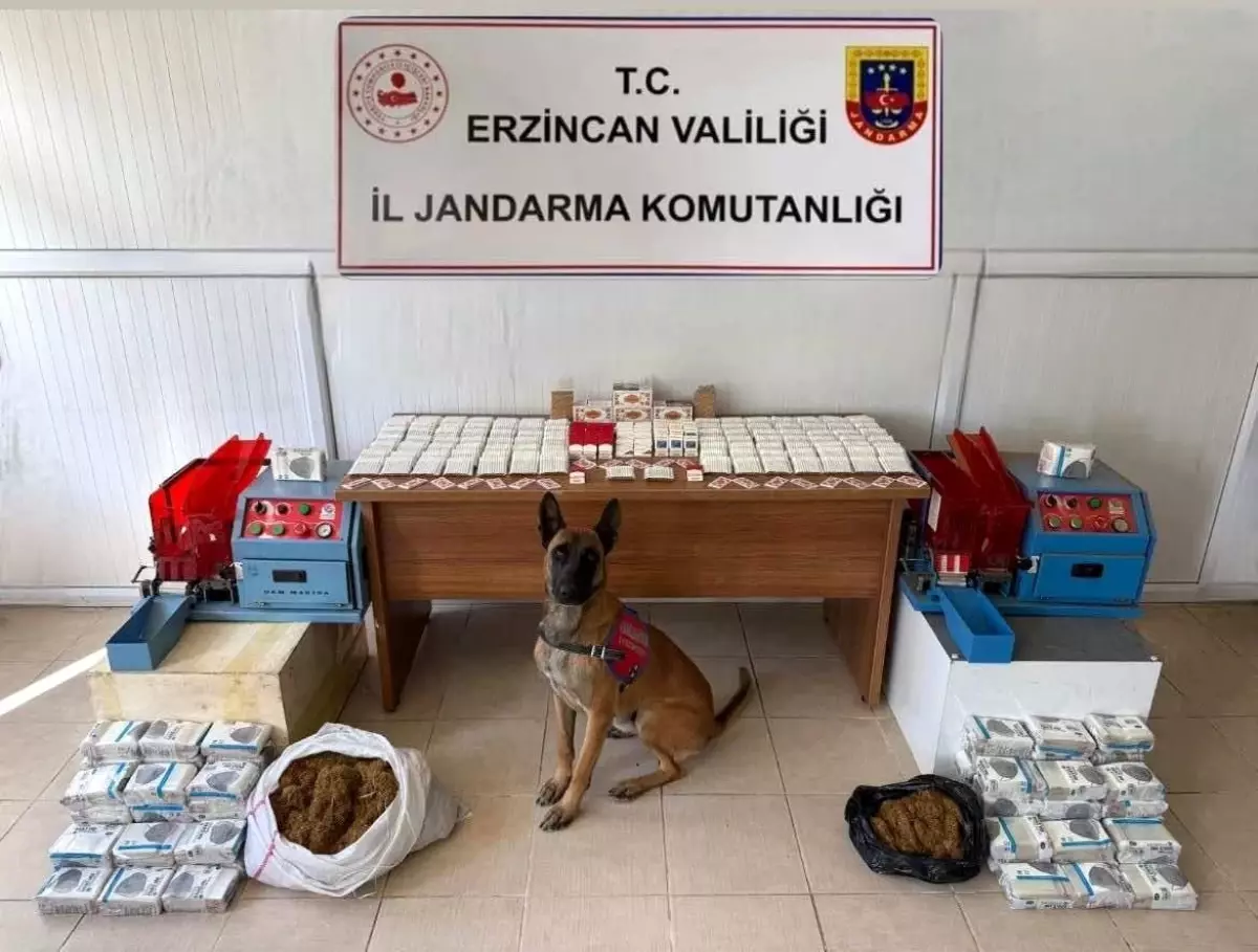 Erzincan Jandarma 2025 Bilançosu