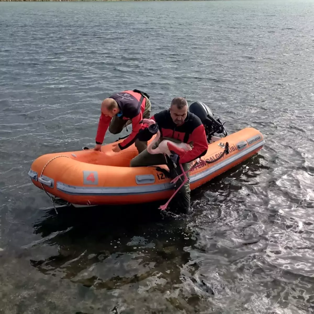 Misina tuzağından özgürlüğe