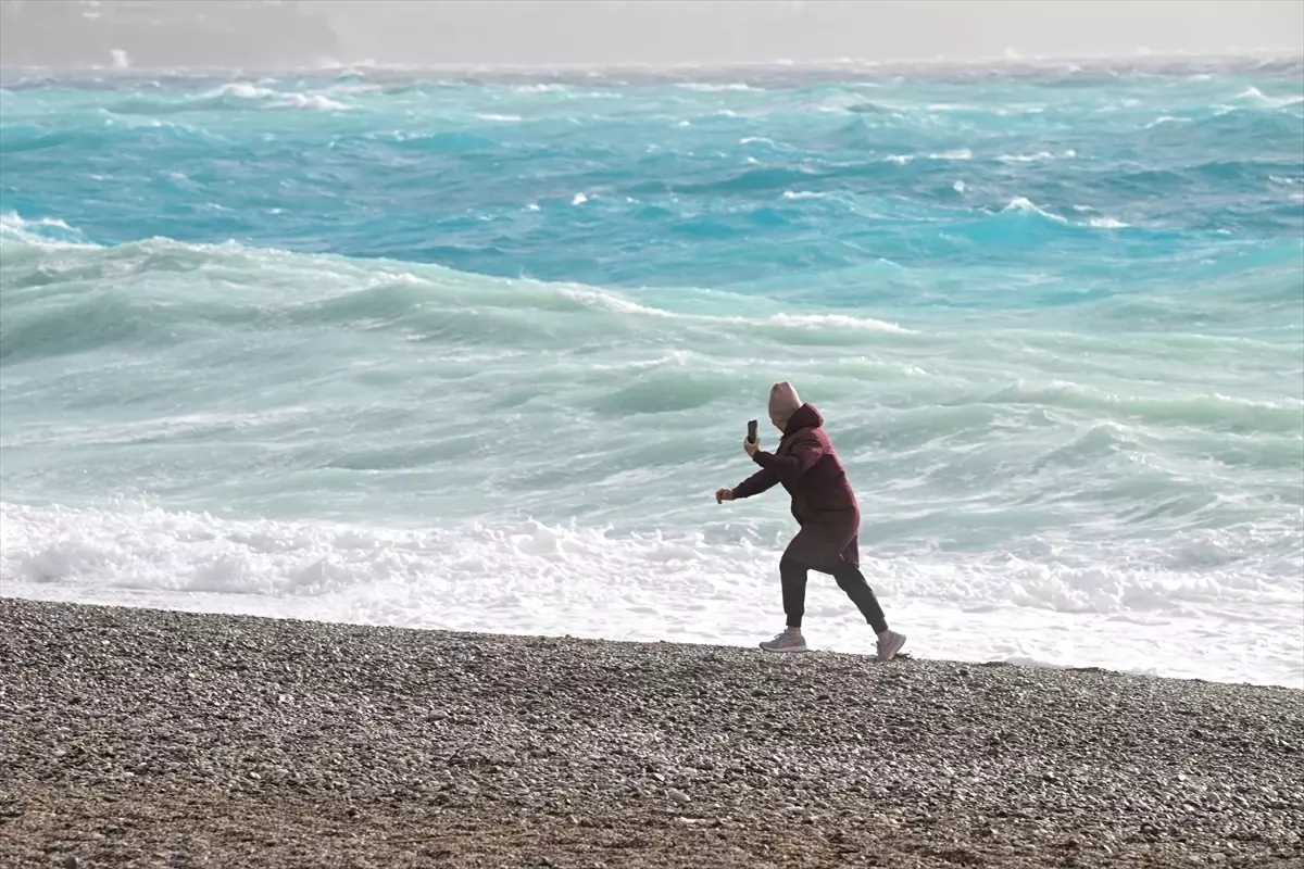 Antalya\'da Fırtına Çam Ağacını Devrildi