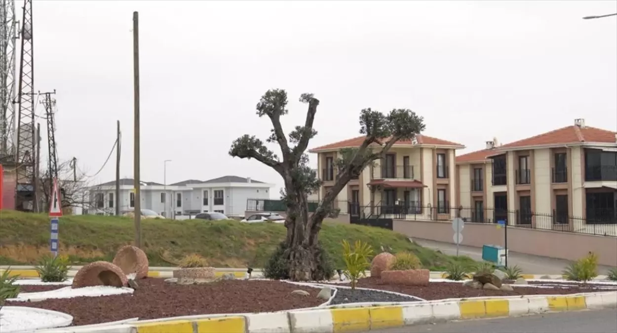 Tekirdağ\'da Kurakçıl Peyzaj Uygulamaları