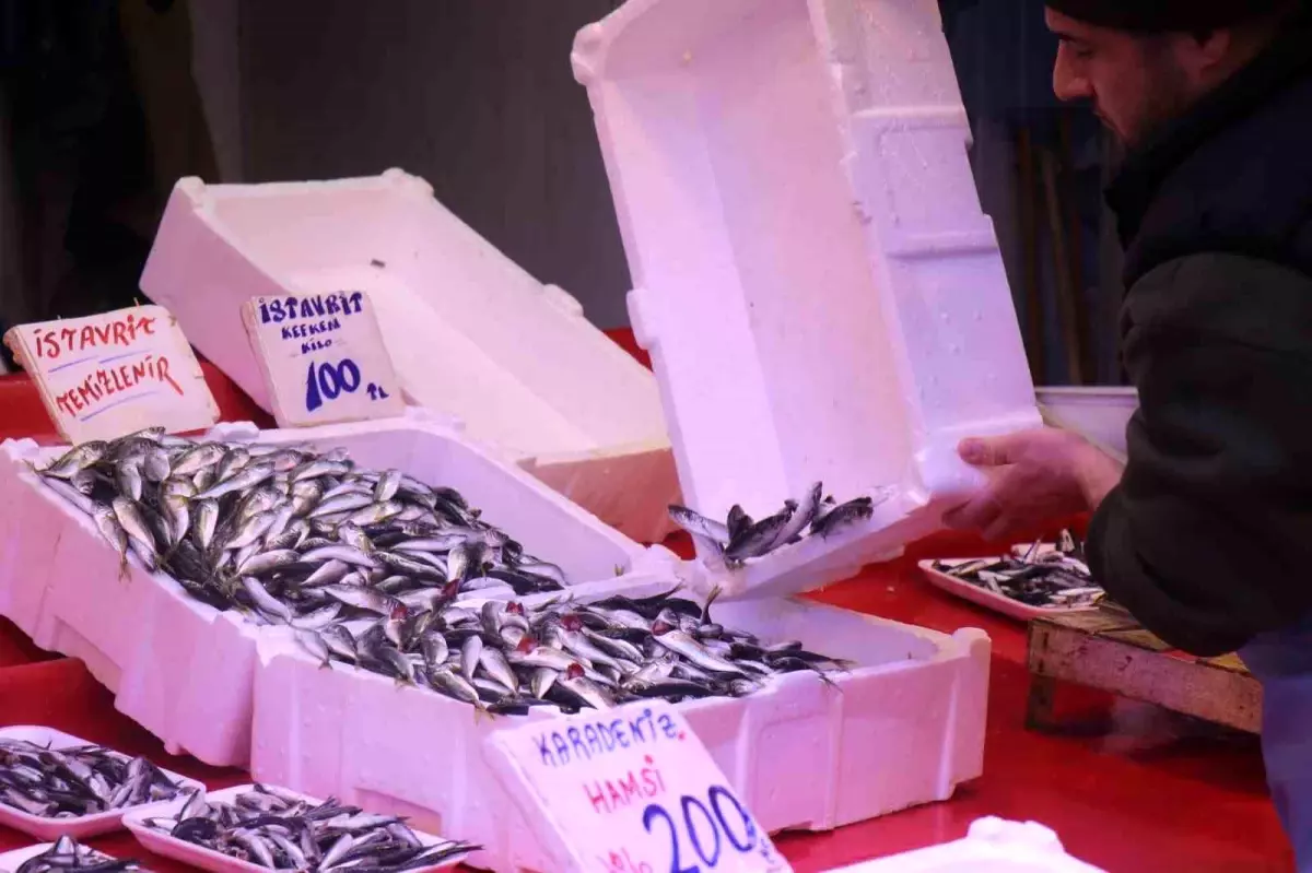 Hamsinin yokluğunu kapattı, fiyatı dibi gördü! Tezgahın en ucuzu