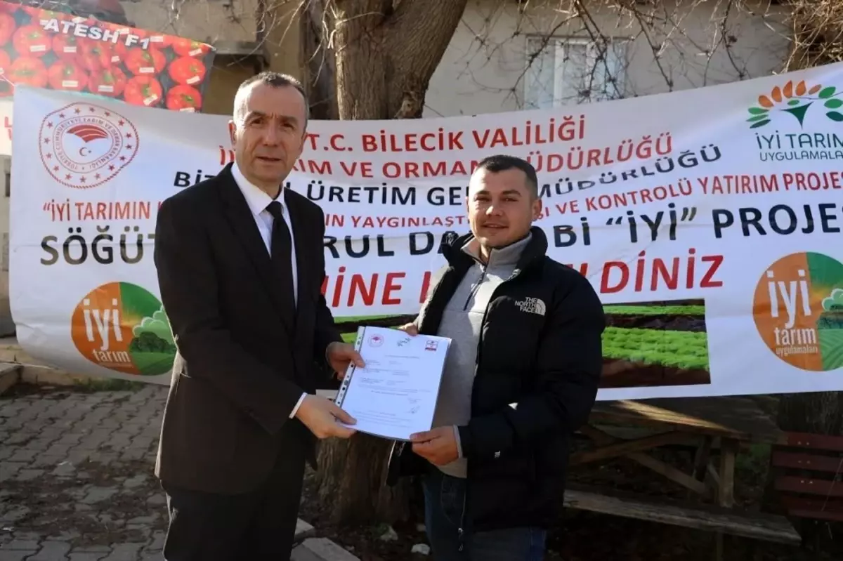 Söğüt\'te Marul Üretimi Tescillendi