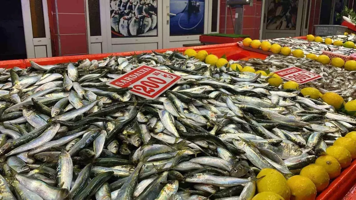 Bolu\'da Balık Çeşitliliği Azaldı