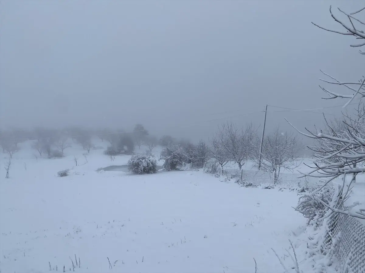 Oğuzlar\'da Ceviz Bahçeleri Karla Kaplandı