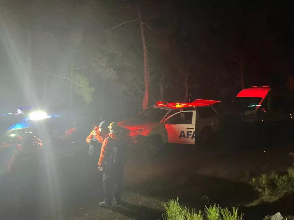 Kaybolan Kadın Ormanda Bulundu