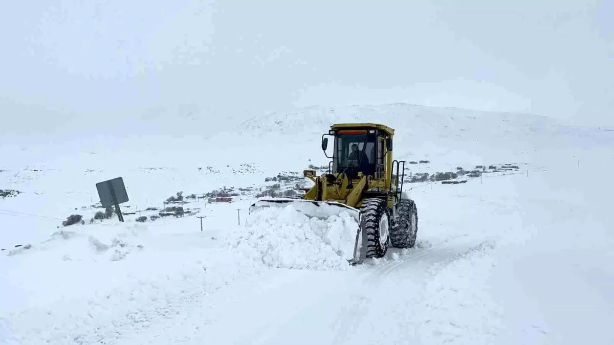 Kars\'ta Kar Kaplanları Yol Açıyor