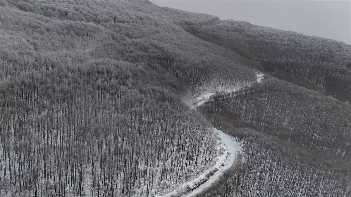 Istranca Ormanları Karnaval Gibi Beyaza Büründü