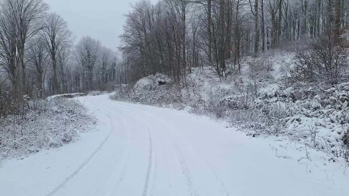 Kırklareli\'nde Kar Yağışı Başladı
