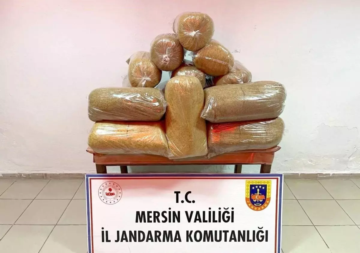 Mersin\'de 100 kg Kaçak Tütün Ele Geçirildi