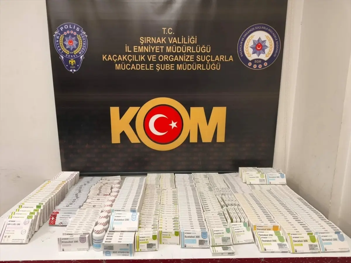 Şırnak\'ta Kaçakçılık Operasyonu: 1 Tutuklama