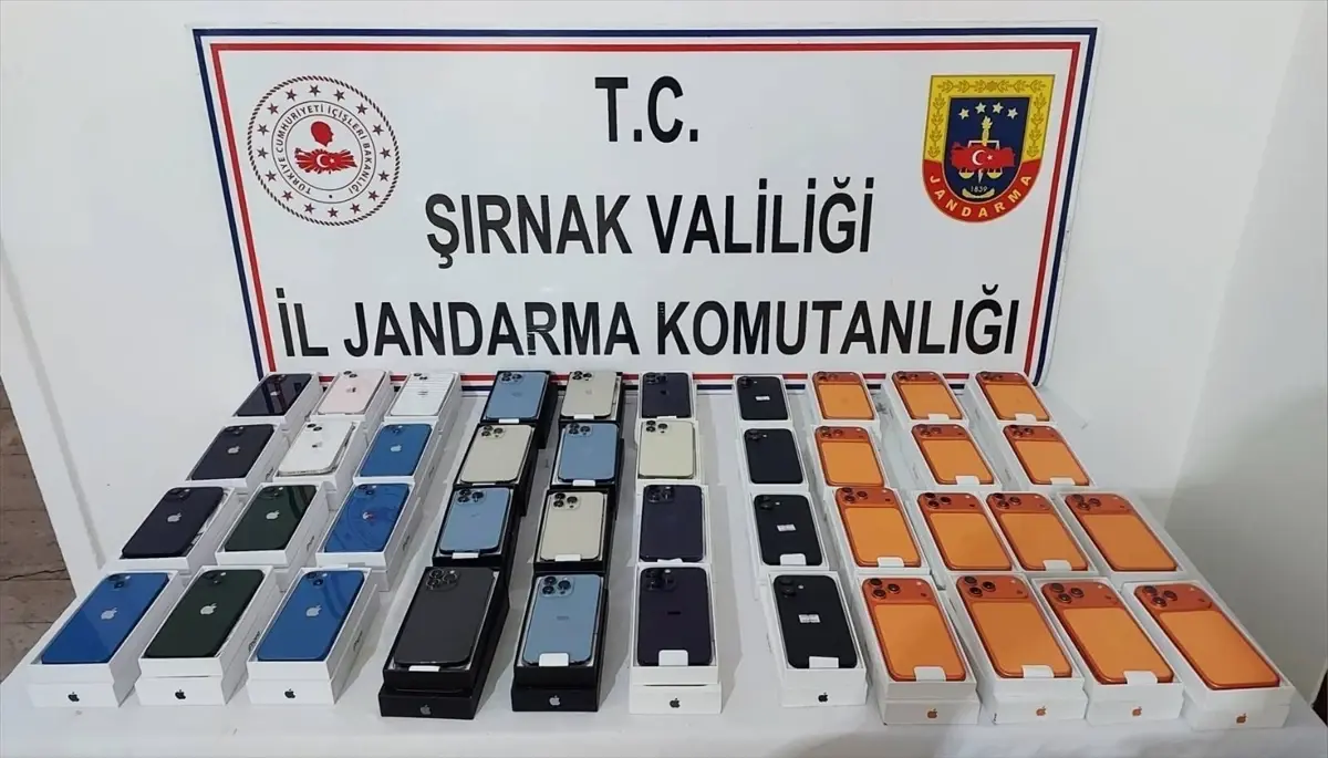 Şırnak\'ta Kaçakçılık Operasyonu: 111 Gözaltı