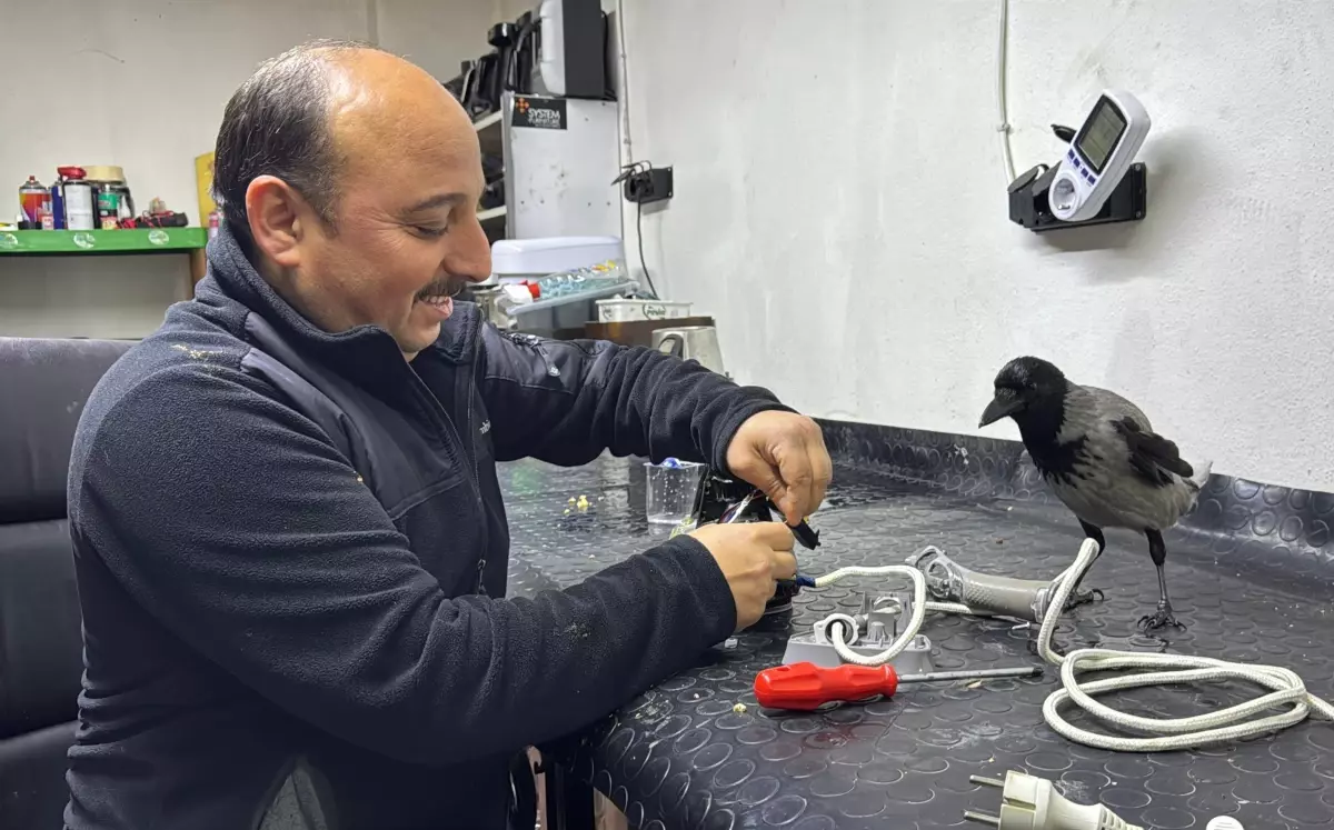 Beyaz Eşya Tamircisinin Karga Dostu