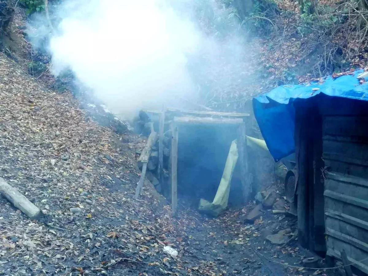 Zonguldak\'ta Güvenlik Uygulamaları: 69 Şahıs Yakalandı