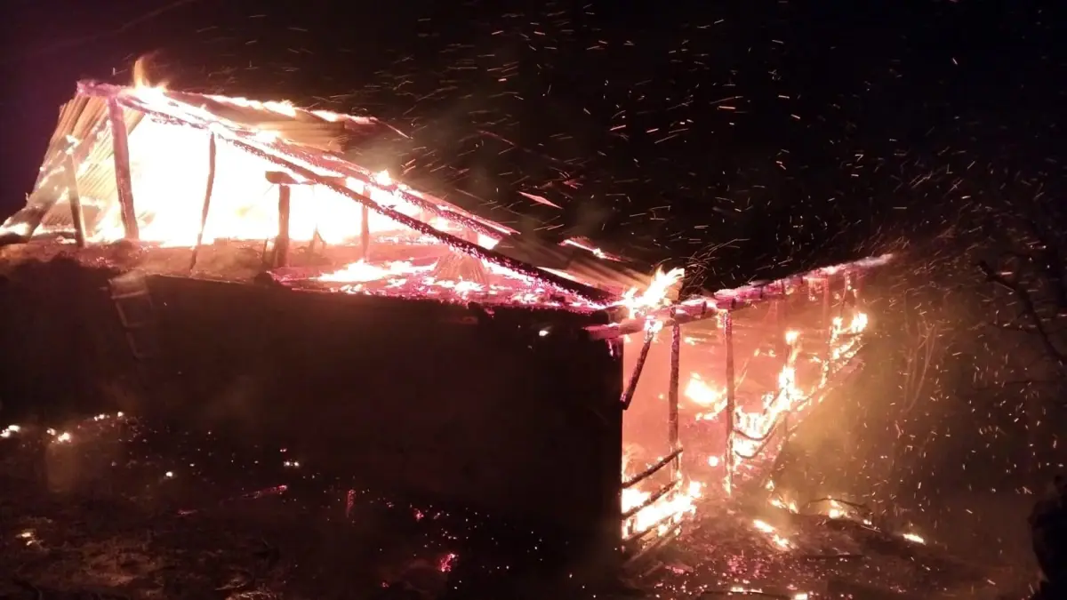 Adana\'da yangın: Ev ve ahır küle döndü