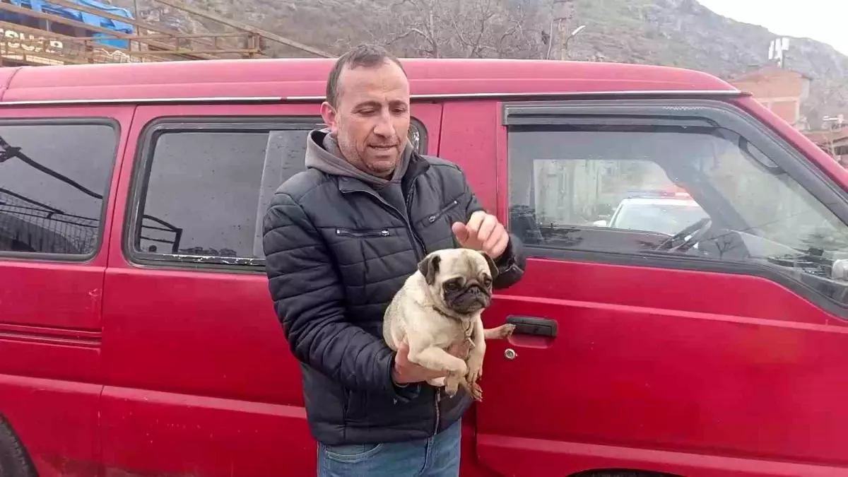 Muhtar, Yangından Köpeği Kurtardı