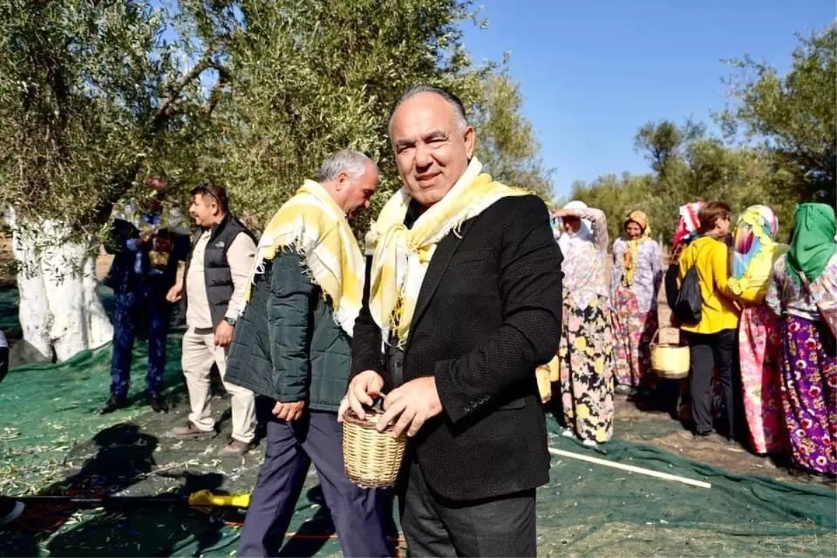 Ayvalık Zeytinyağı\'nda Markalaşma Çabaları