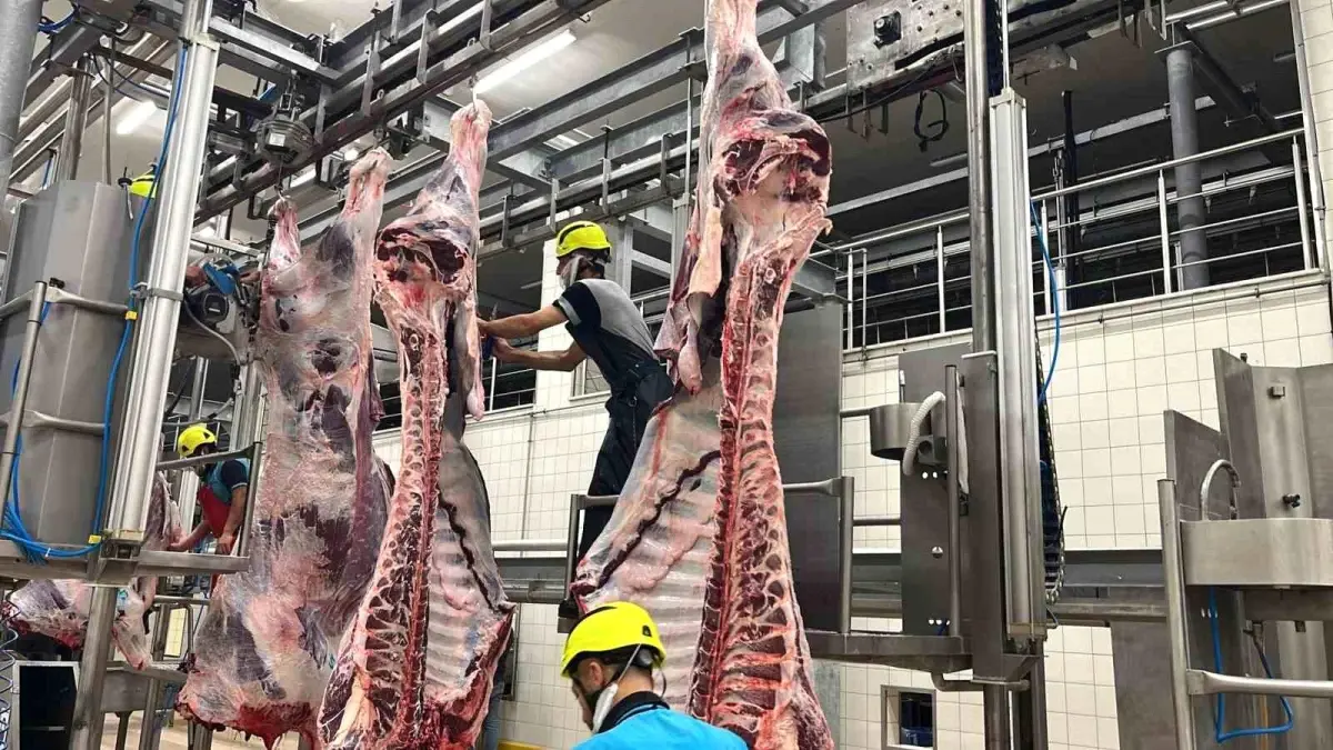 Büyükşehir mezbahasında 6 bin 29 kesim yapıldı