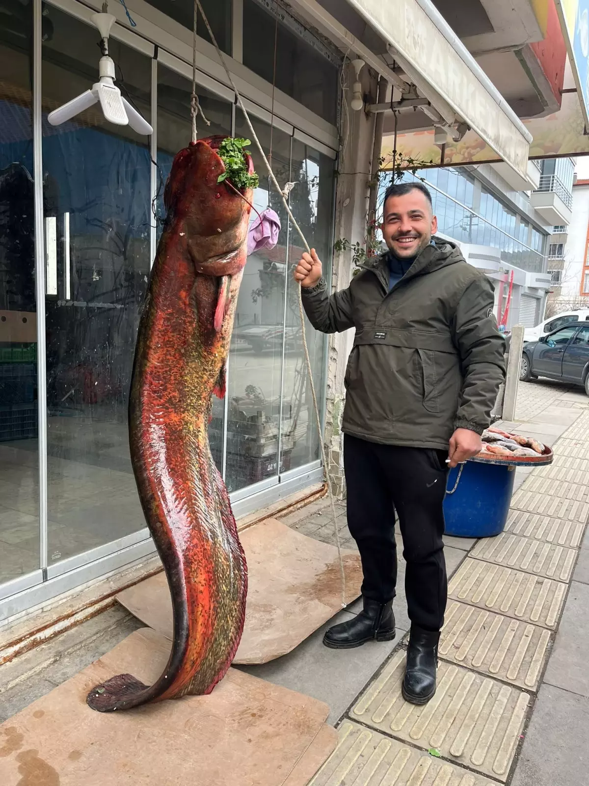 Nallıhan\'da Dev Yayın Balığı Çıktı