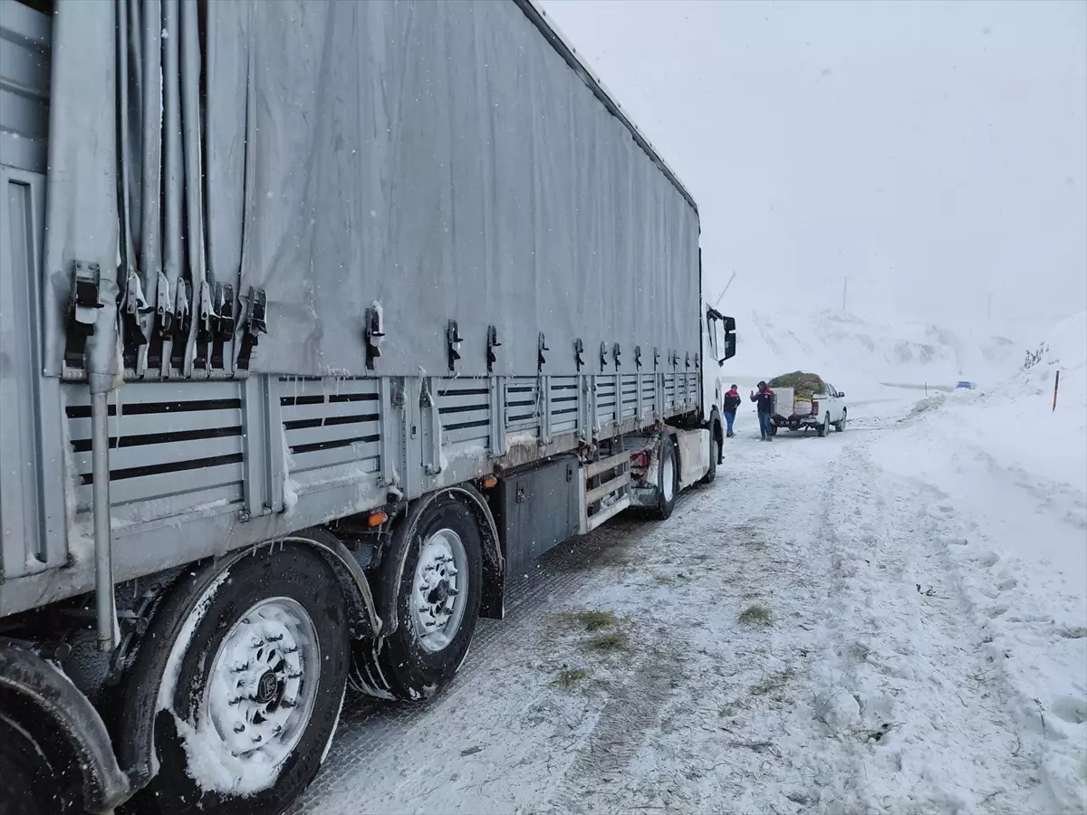 Erzurum\'da Mahsur Kalan Hayvanlar Kurtarıldı