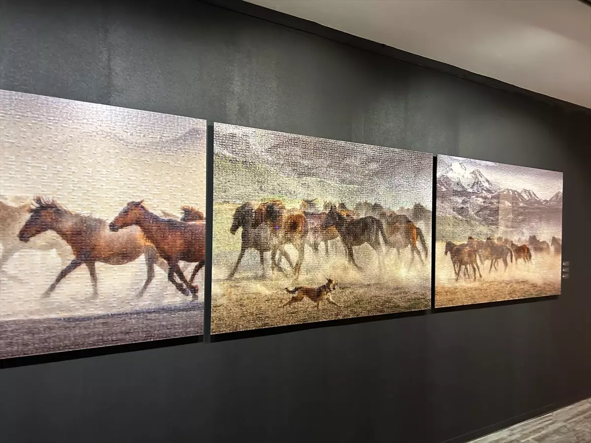 Halim Kulaksız\'ın \'Wild and Free\' Sergisi Açıldı