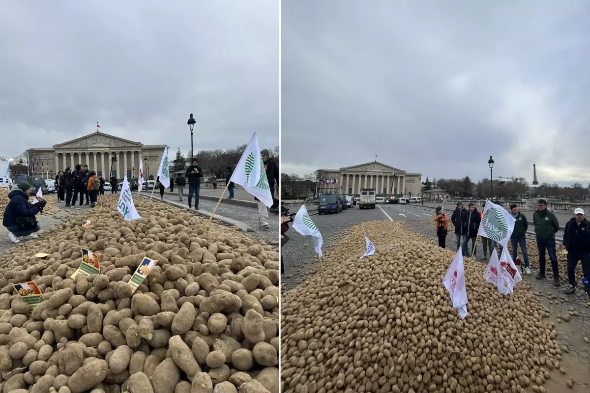 Fransa\'da çiftçilerden sert protesto: Meclisin önüne 30 ton patates döktüler