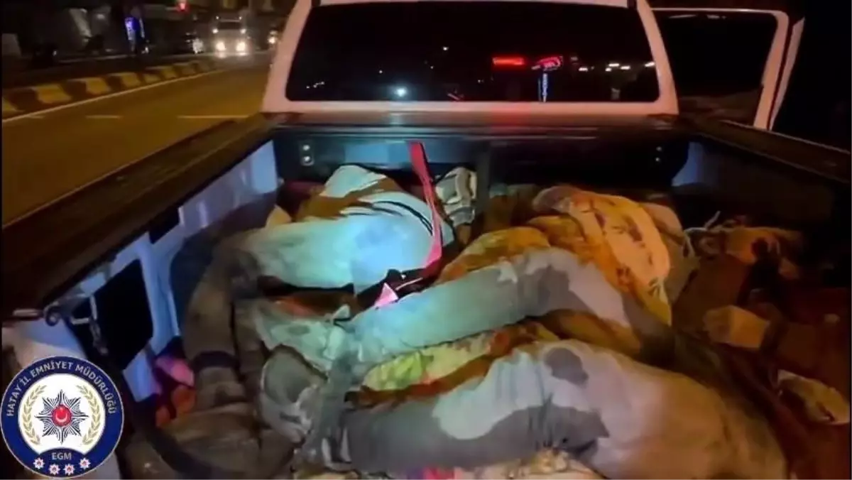 Hatay\'da 8 Göçmen Yakalandı, 2 Organizatör Tutuklandı