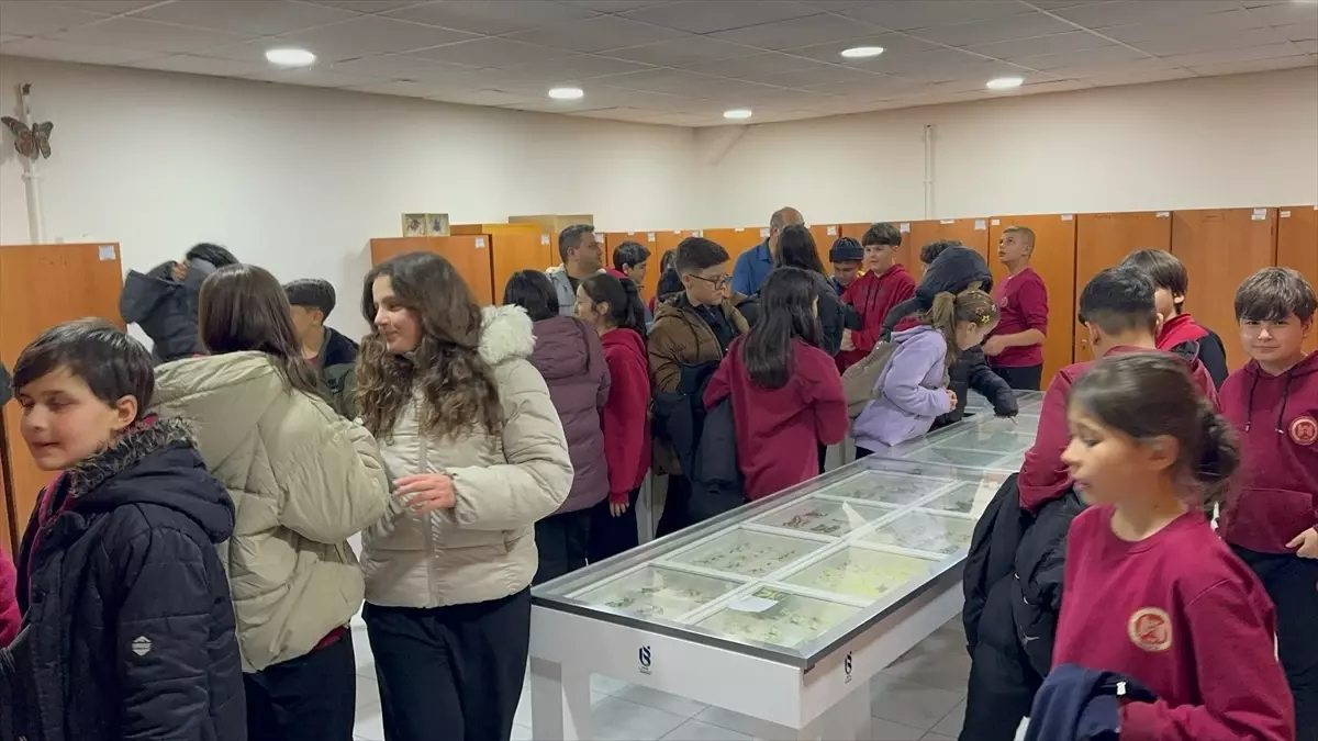 Böcek Müzesi: Bilim ve Eğlence