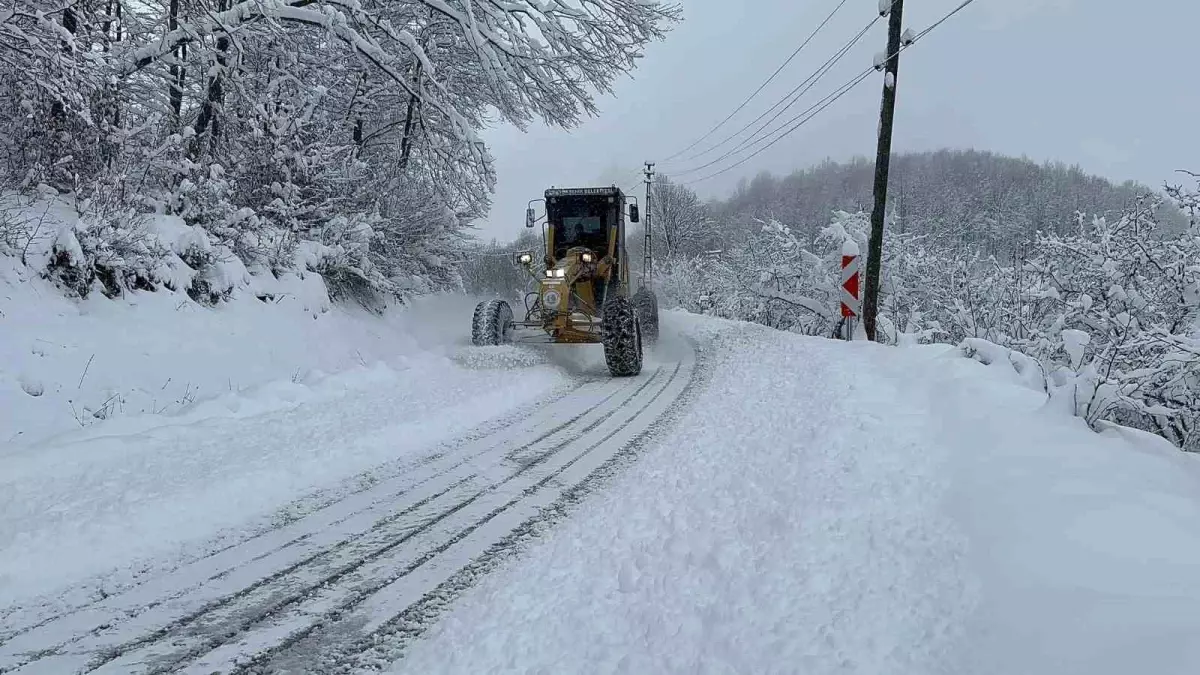 Kavak\'ta karla mücadele