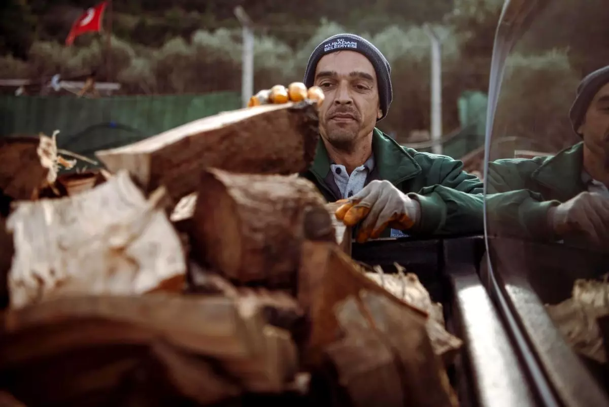 Kuşadası\'nda ağaç atıkları ihtiyaç sahipleri için yakacağa dönüşüyor