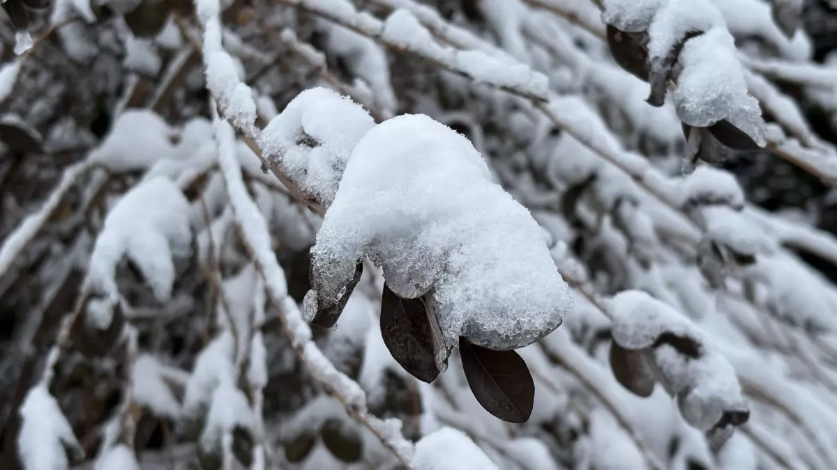 Sivas\'ta Yoğun Kar Yağışı
