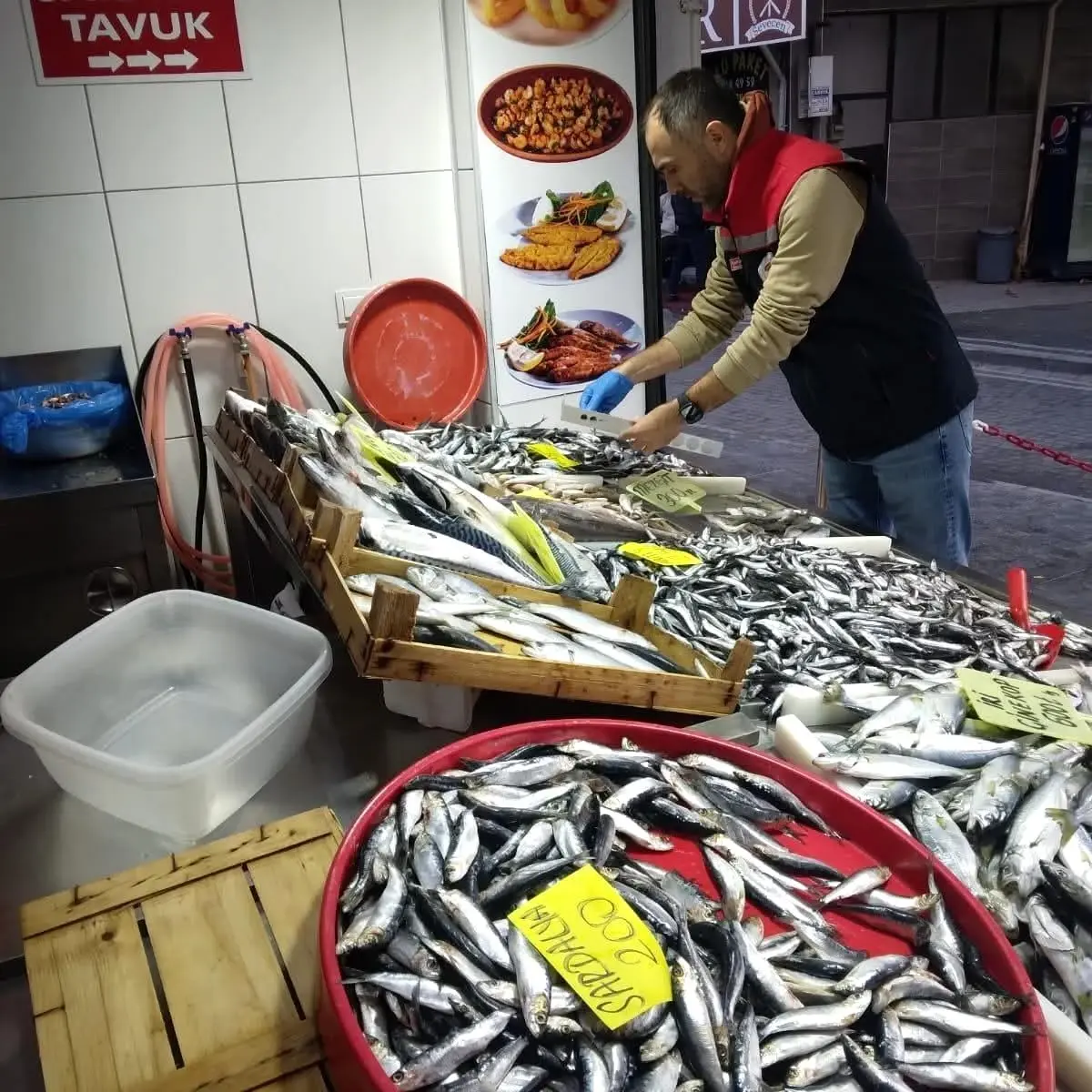 Tekirdağ\'da Yasa Dışı Avcılığa Karşı Denetimler